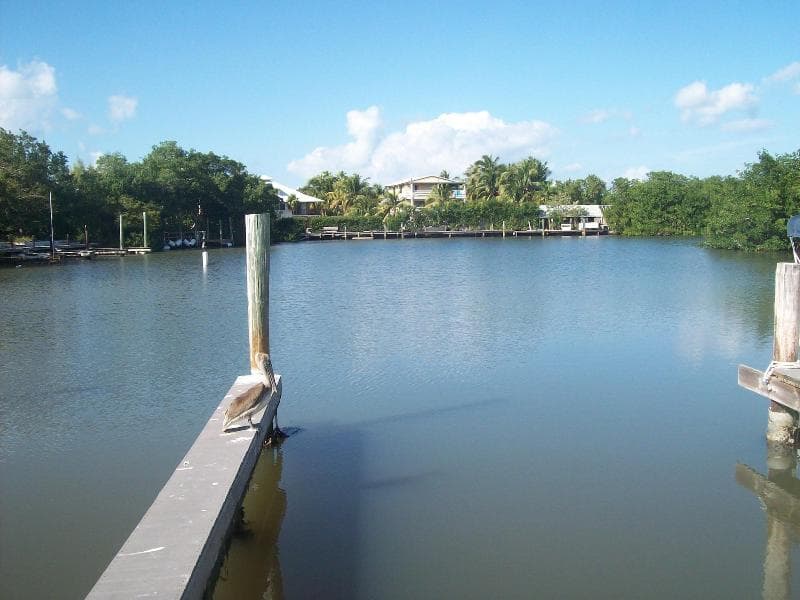 Kingsail Resort 5