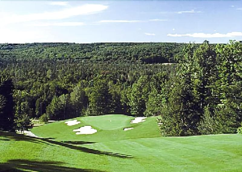 Treetops Resort 3