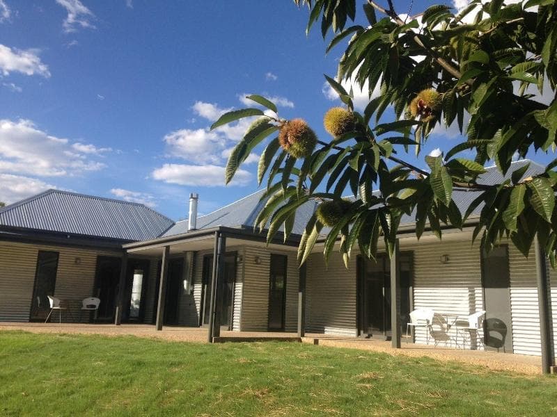 3 Bells Alpine Cottage 4