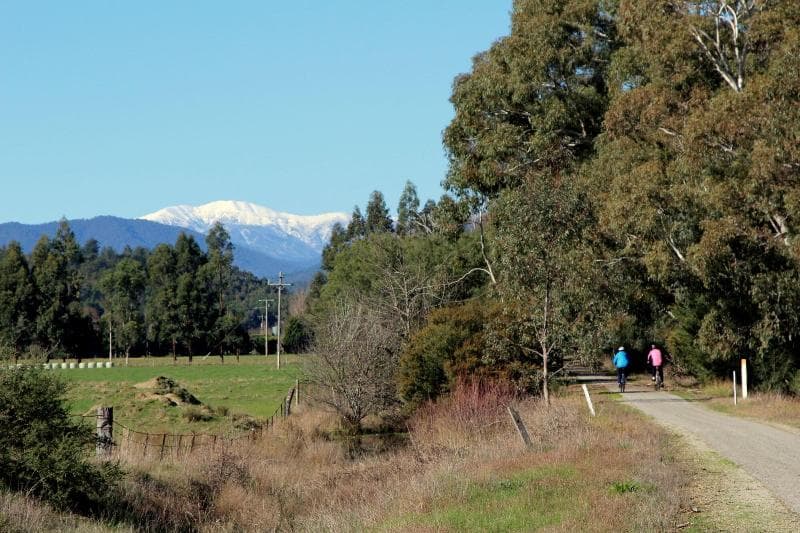 3 Bells Alpine Cottage 5