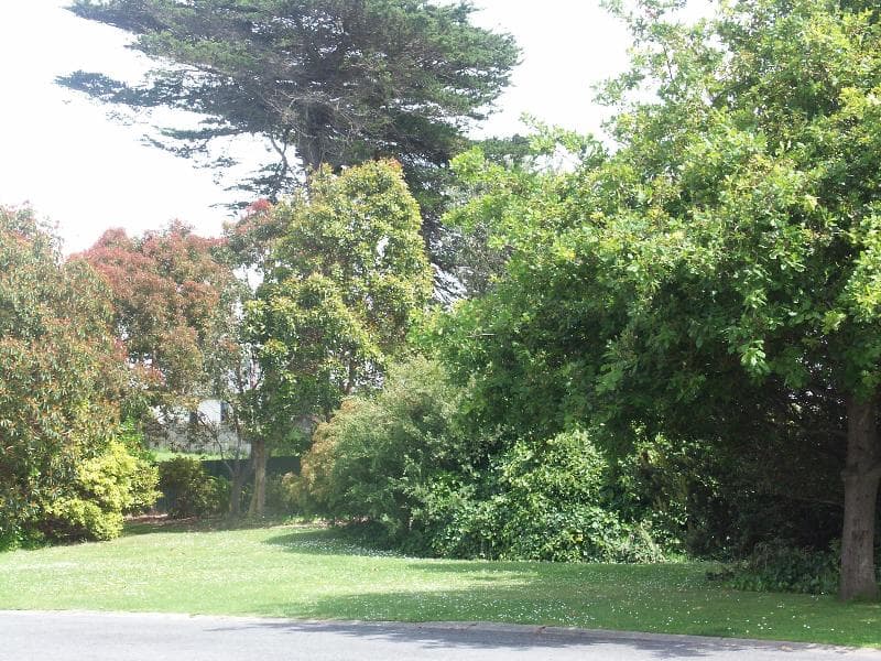 Melaleuca Motel 4