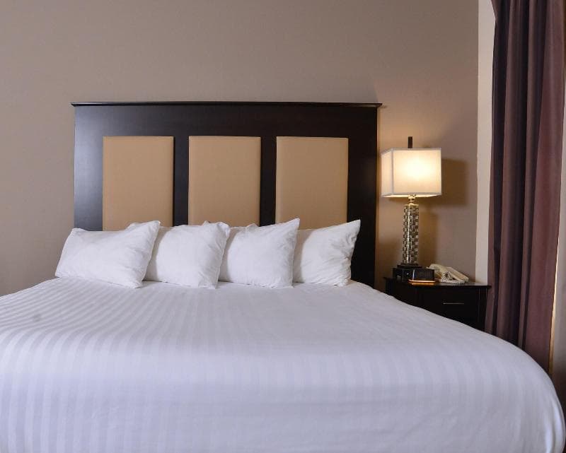 Stay Over Suites 4