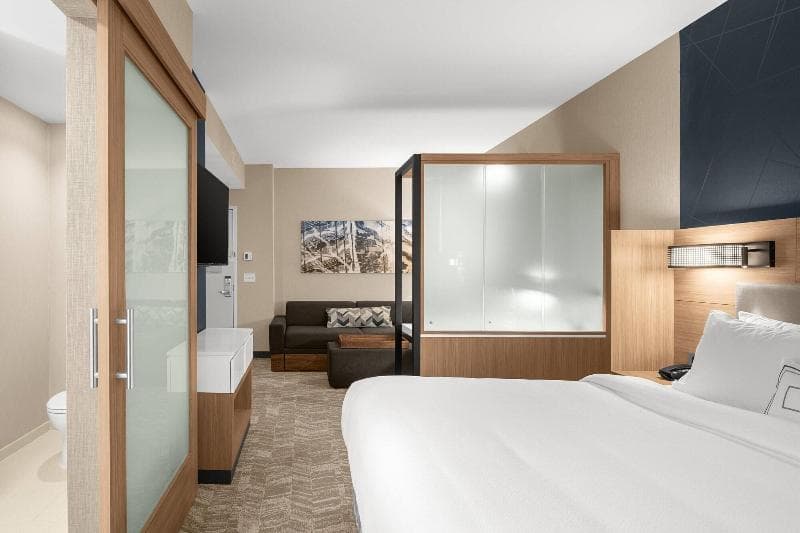 Springhill Suites By Marriott Jackson 4