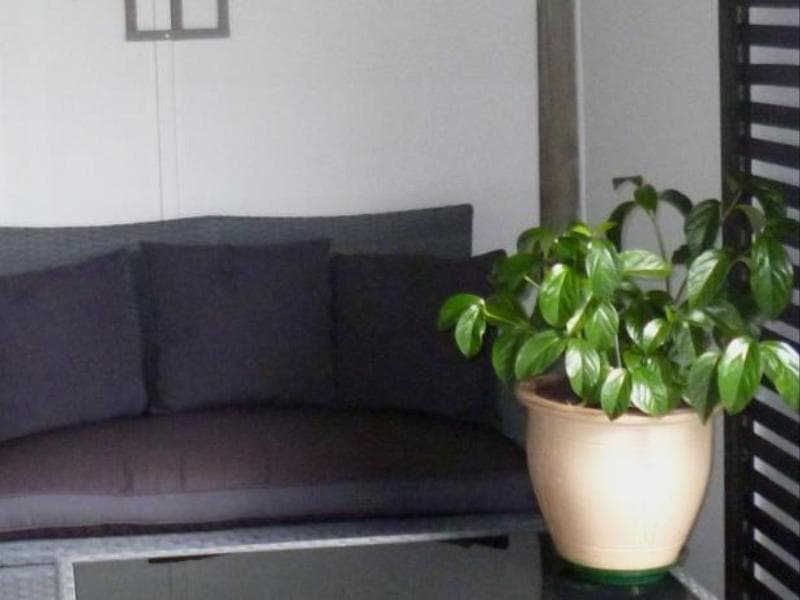 Opua Boutique Seaview Motel 3