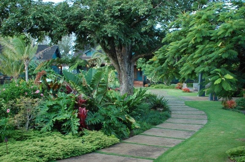 Lumeria Maui 4