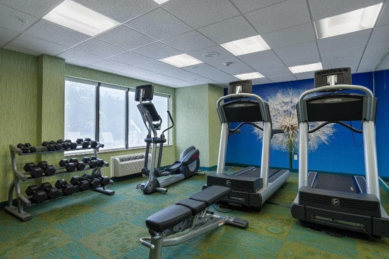 Springhill Suites St. Petersburg - Clearwater 3