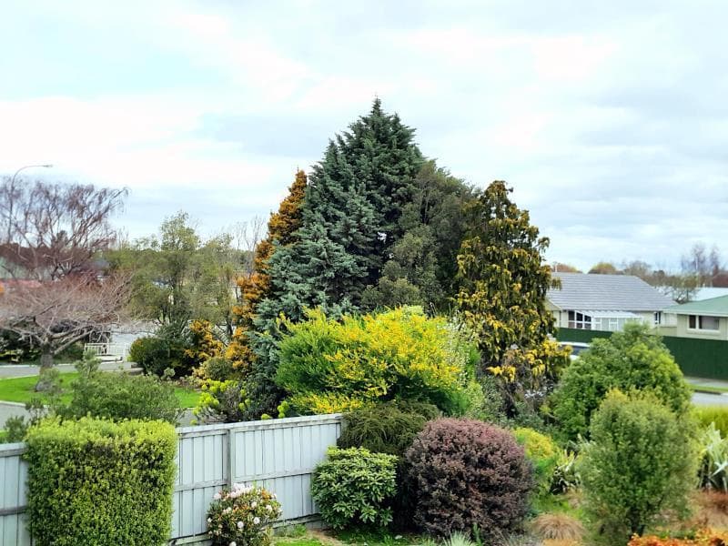 Lilybrook Rangiora Motel 4