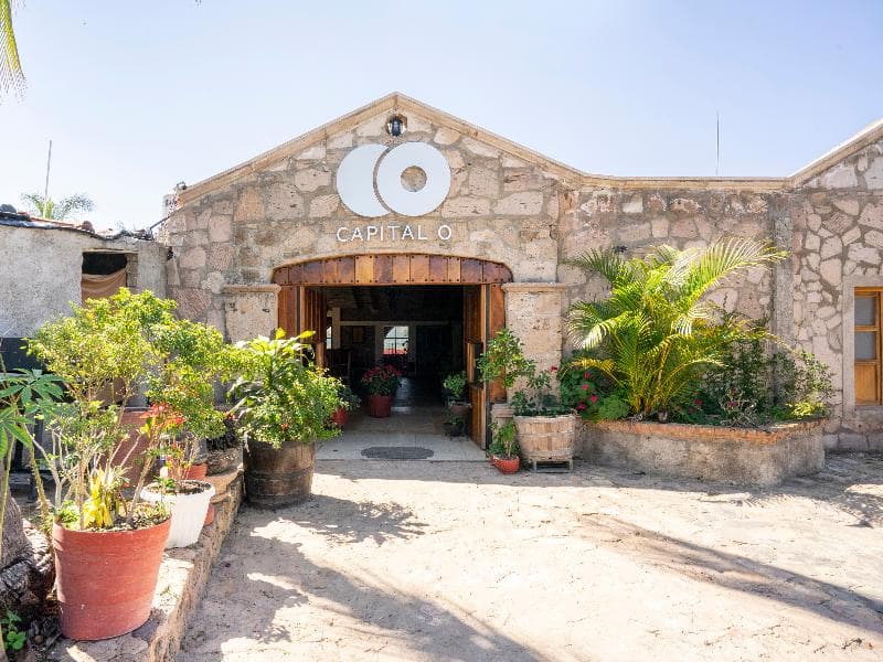 Capital O Hotel Posada Terraza, Tequila Jalisco 4