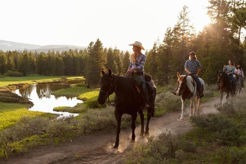 Headwater's Lodge & Cabins At Flagg Ranch photo 1