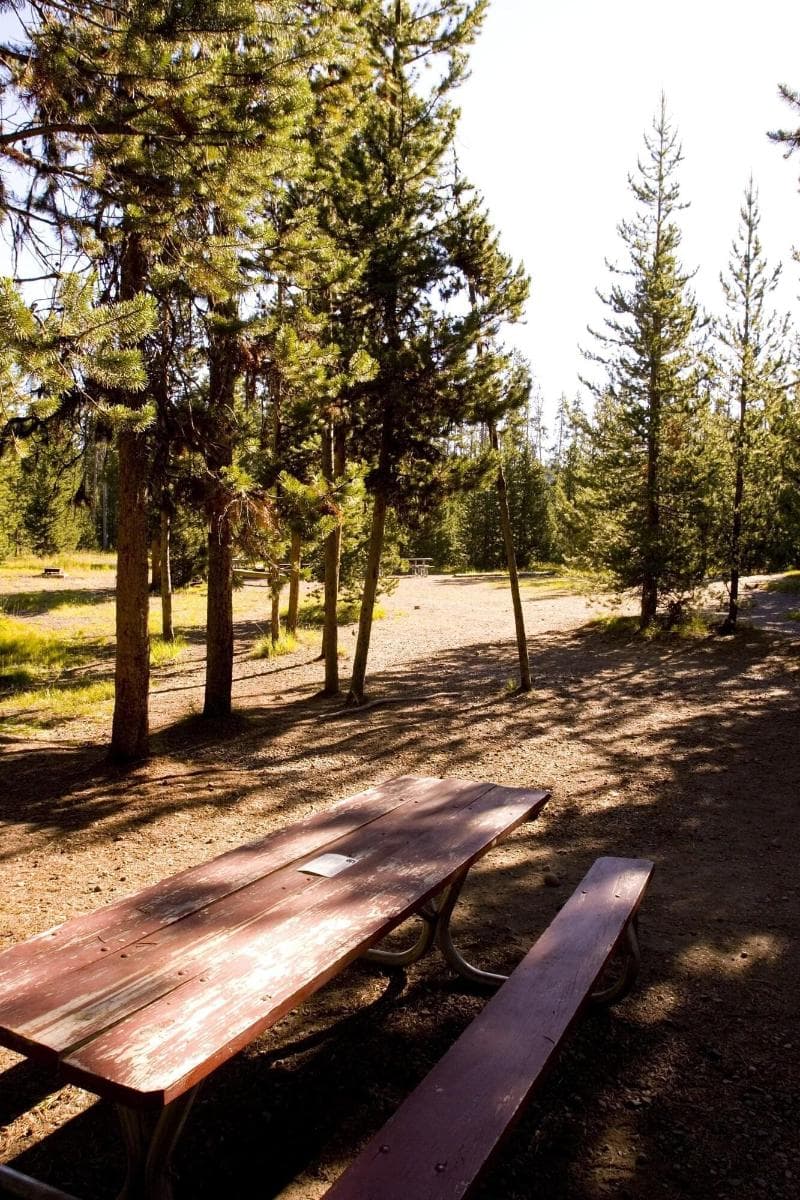 Headwater's Lodge & Cabins At Flagg Ranch 4