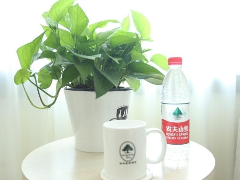 Greentree Inn Beijing Chaoyang District Maquanying Subway Station Express Hotel photo 1