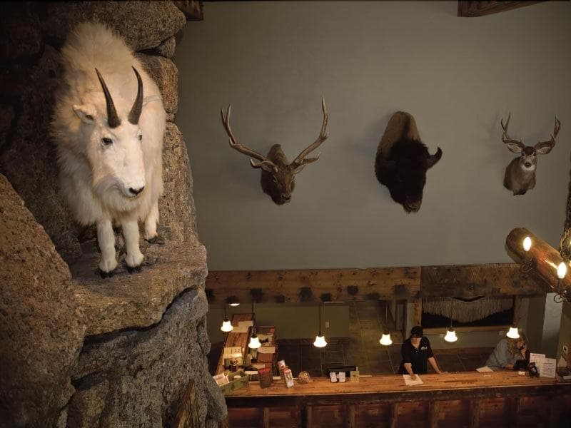 Three Bear Lodge 4