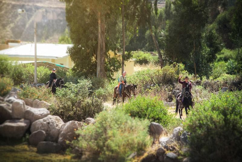 Le Foyer Colca 5
