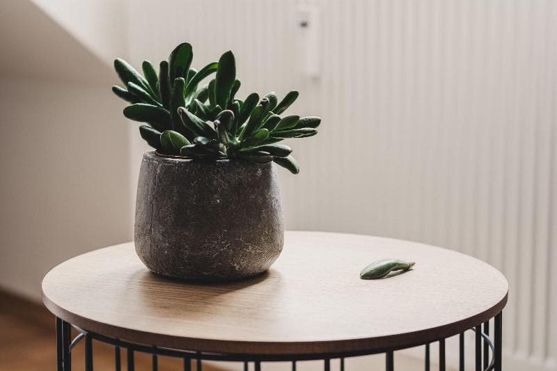 Hygge Lisbon Suites Estrela 5