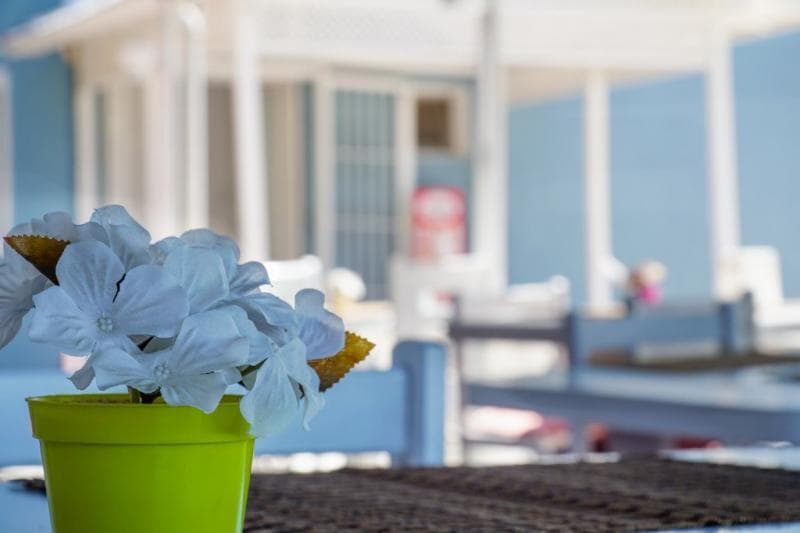 Minerva Port Hotel 5