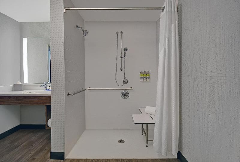 Holiday Inn Express Houston Galleria Area 5