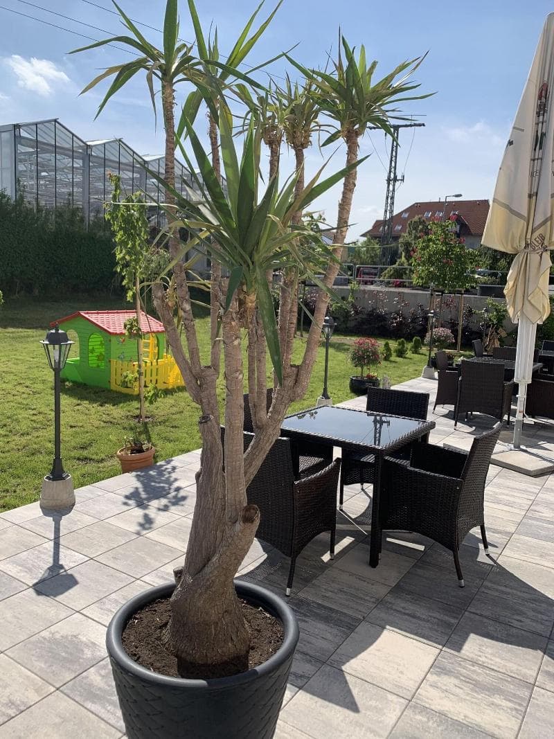 Hotel Bannewitz 4