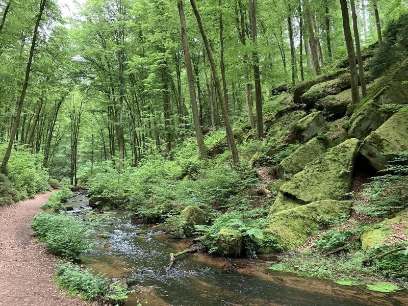 Burgschänke photo 1