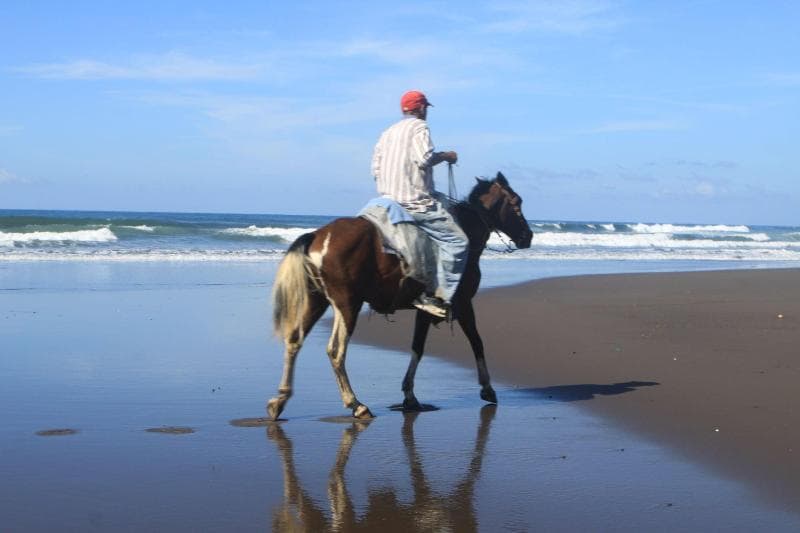 Sabas Beach Resort 3
