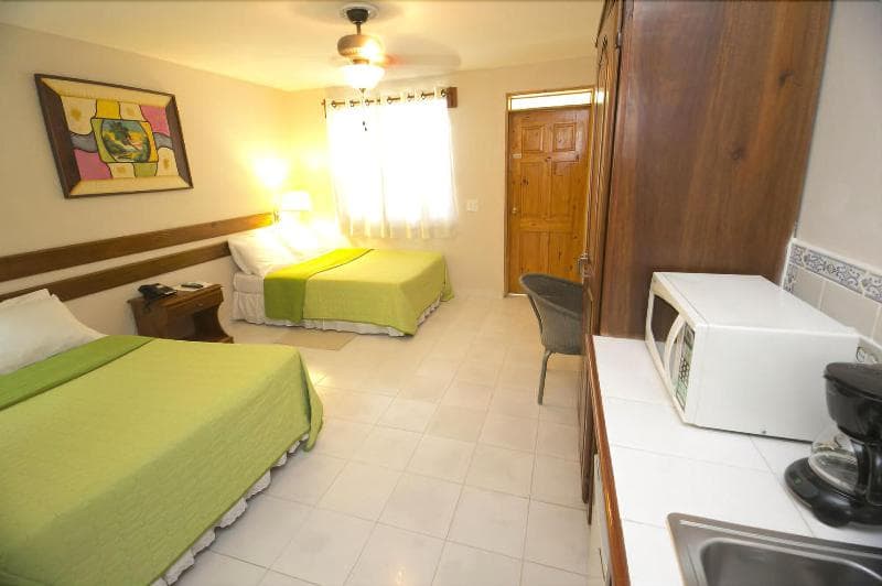 Palm Inn Hotel photo 1