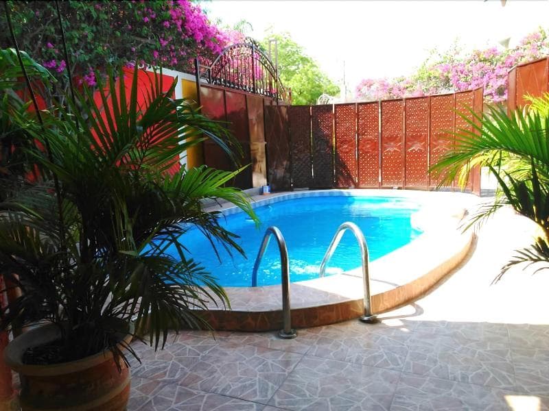 Daniella Inn Hotel 4