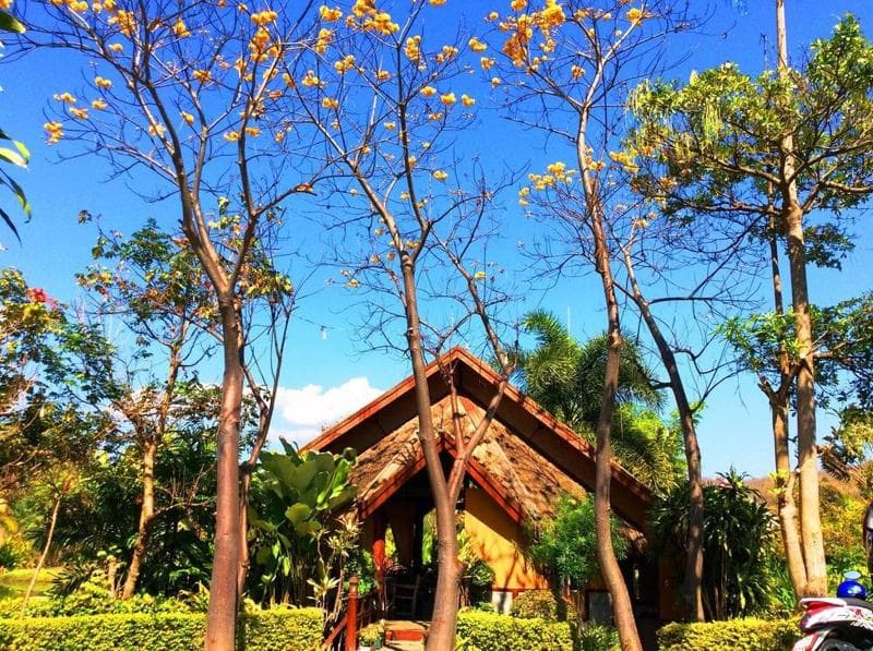 Puravida Pai Resort 4
