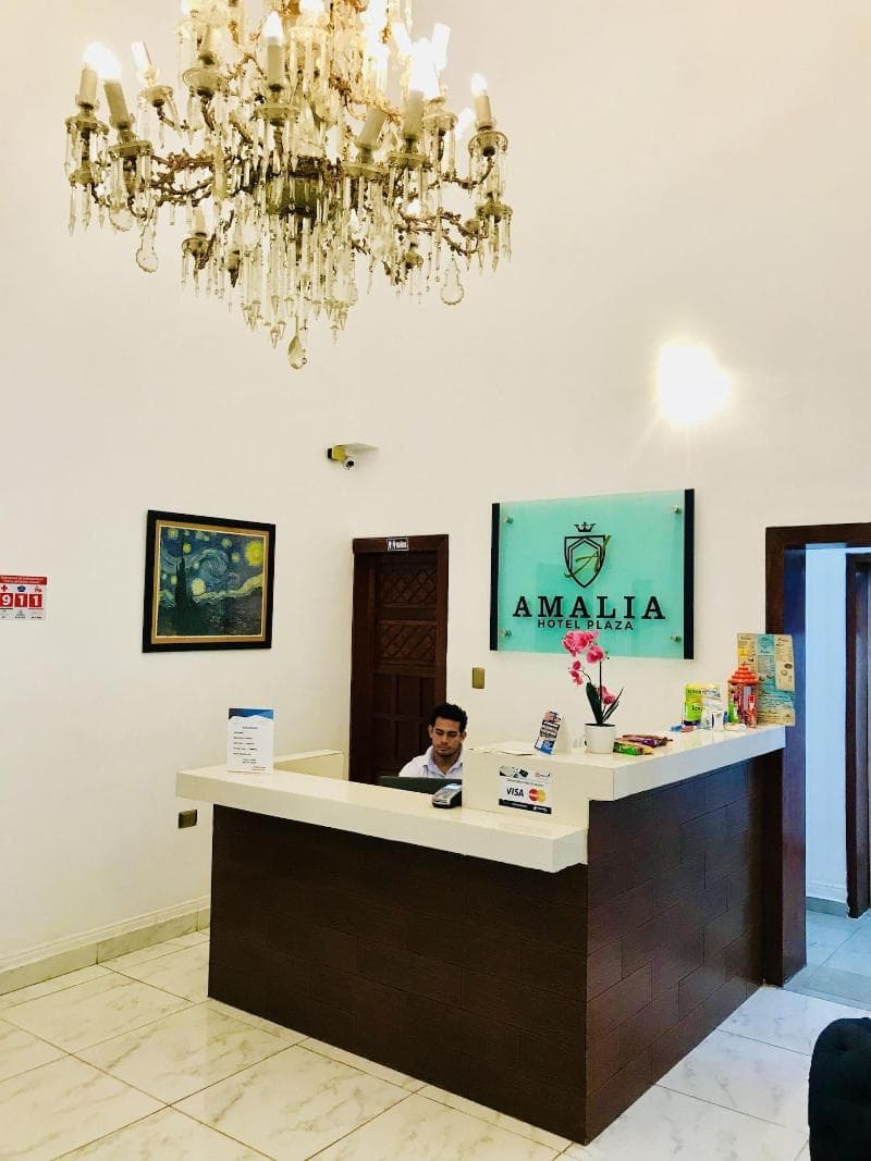 Hotel Plaza Amalia 3
