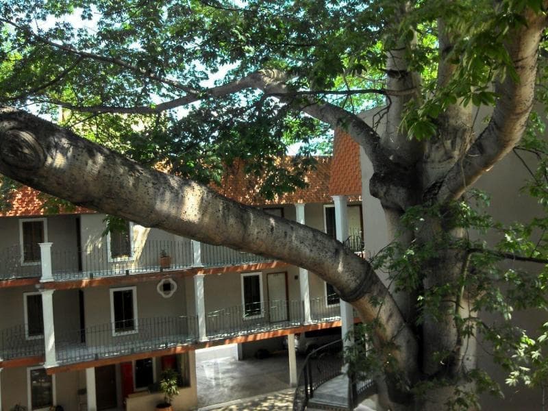 Corintios Hotel 5