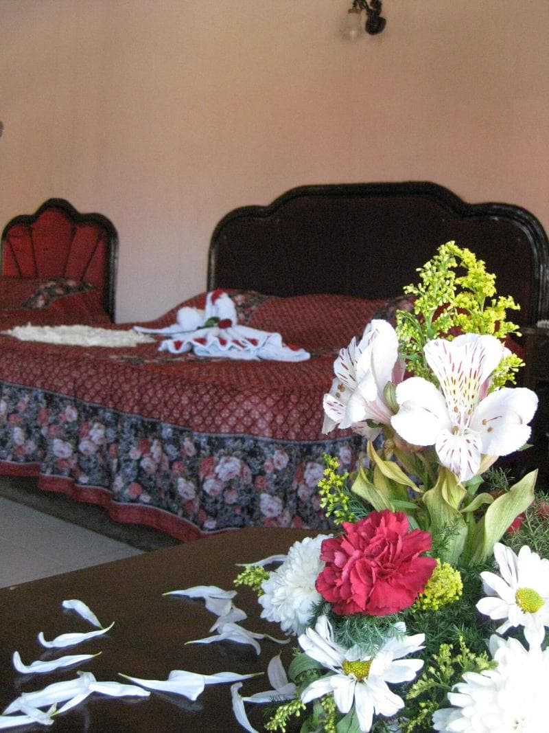 Hotel Plaza Yucatan photo 1