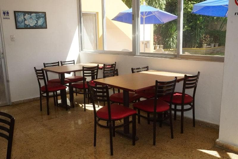 Hotel Las Dalias Inn 2