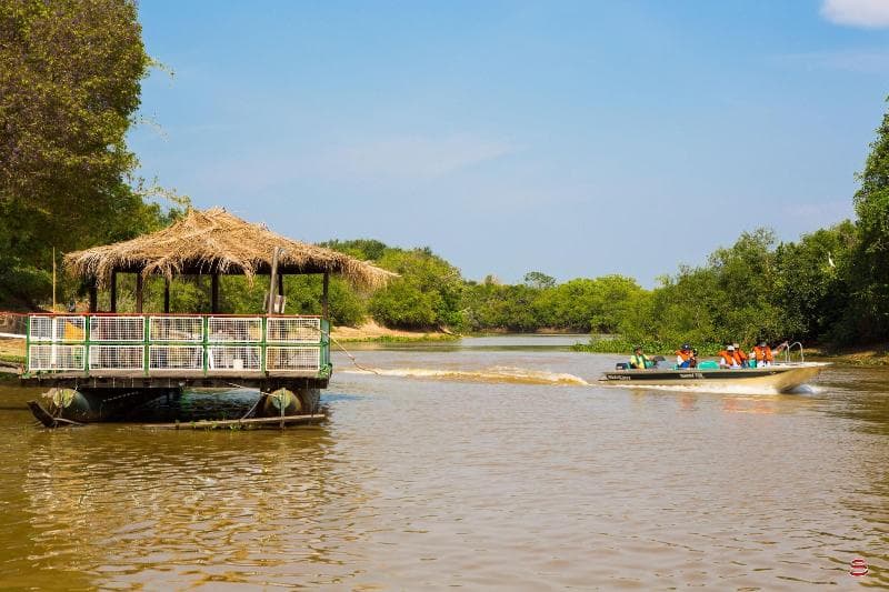 Pantanal Mato Grosso Hotel 5