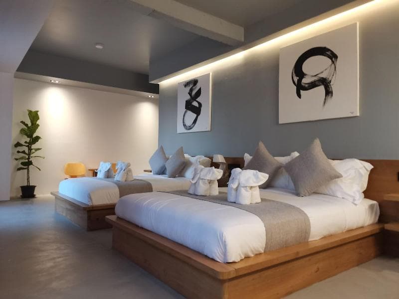 M5 Hotel photo 1