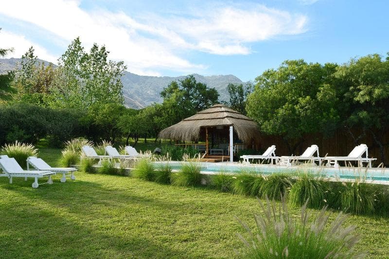 Las Dalias photo 1