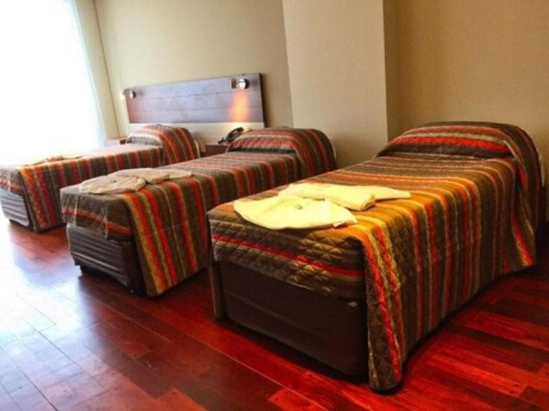 Plaza Hotel Paseo 4