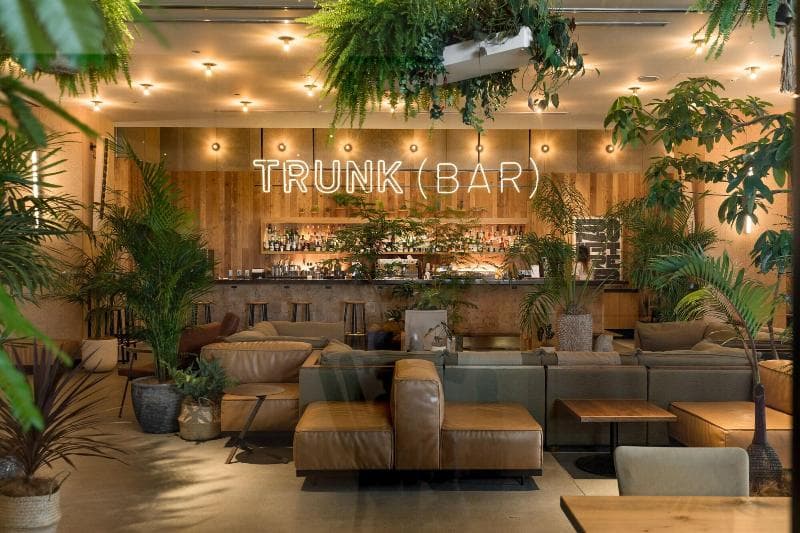 Trunk Hotel 3