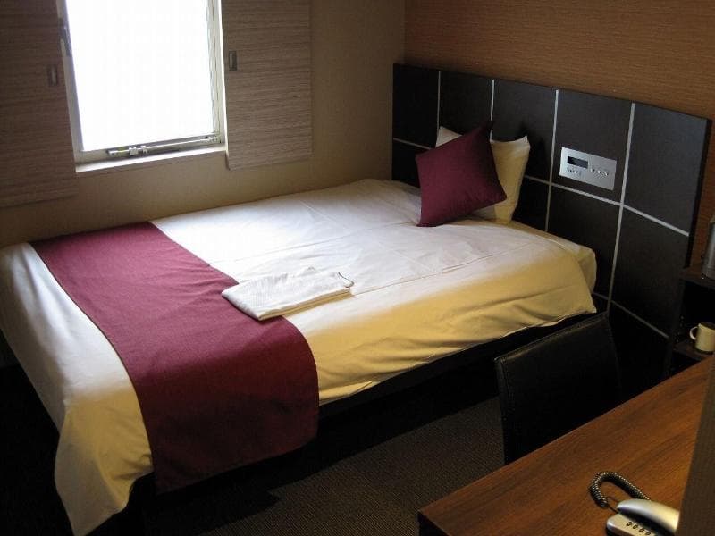 My Hotel Okazaki 3