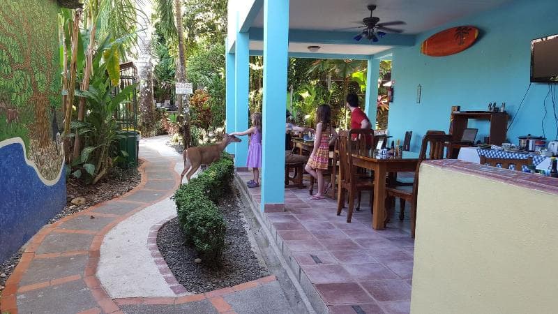 Hotel La Posada And Jungle 4