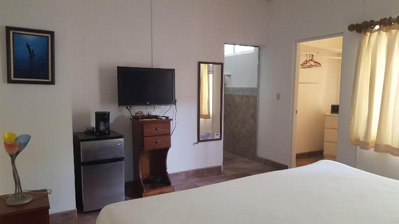 Hotel La Posada And Jungle 5