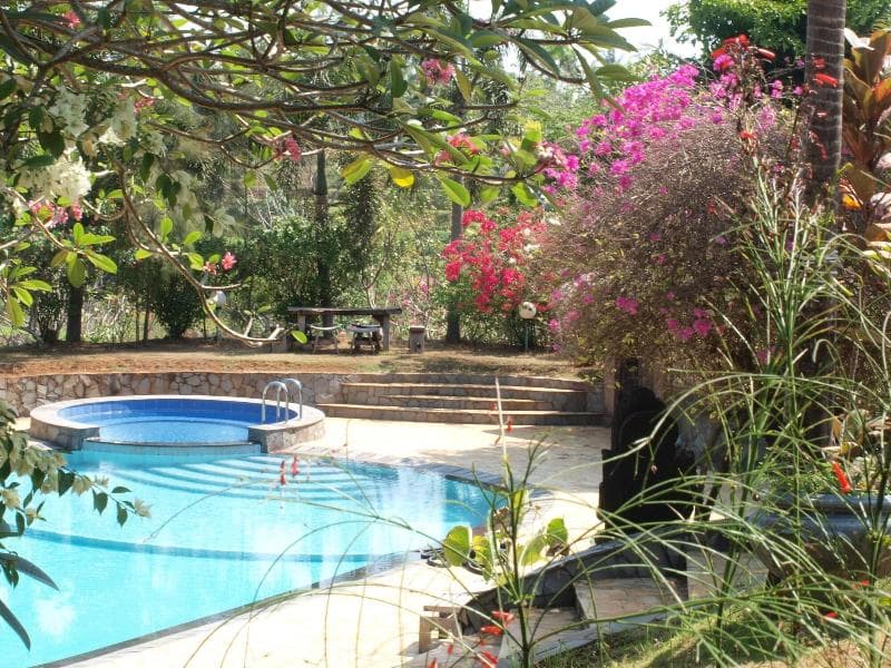 The Gecho Inn Country 5