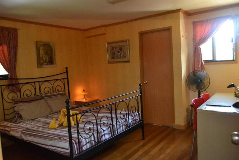 Villa Viva Belgica 4
