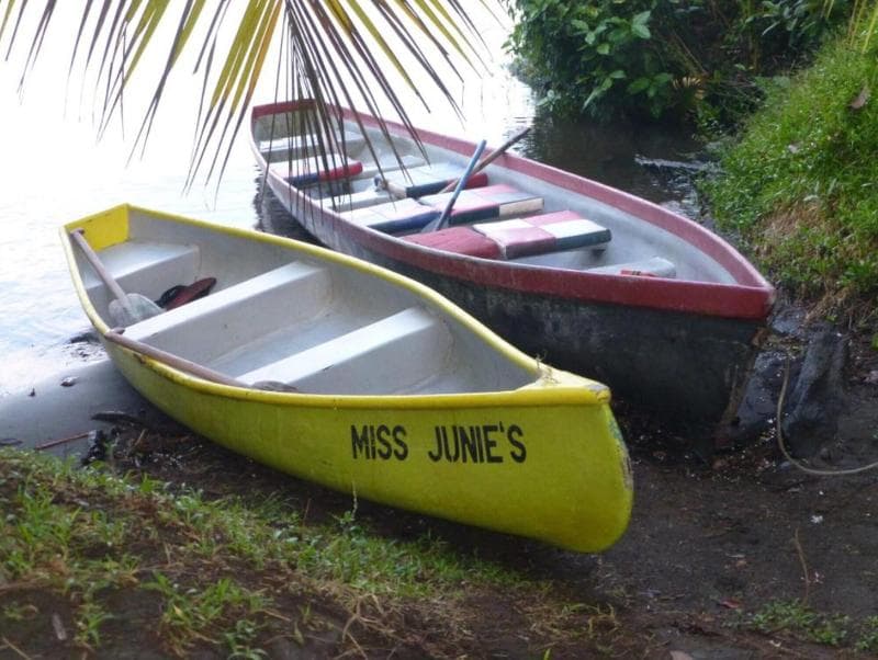 Miss Junies Lodge photo 1