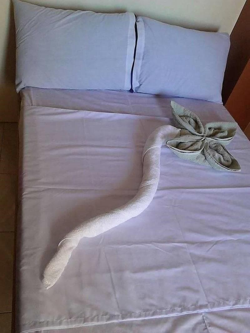 N & F Guest House main