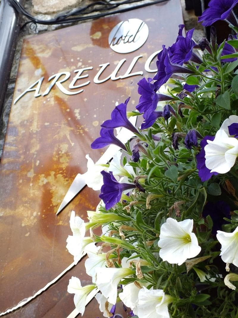 Hotel Areulo 3