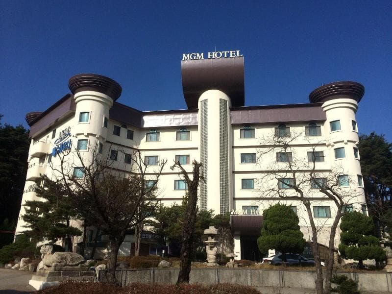 Mgm Hotel 5