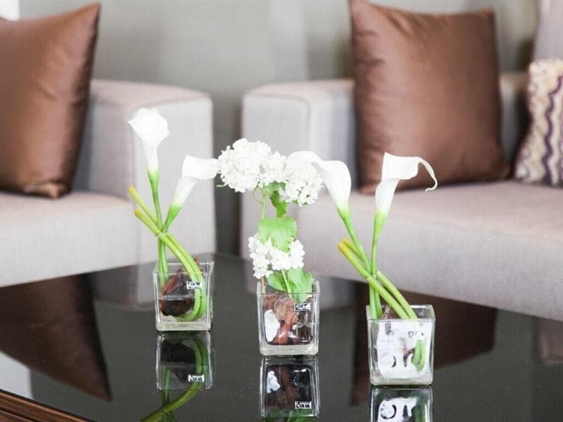Smarts Hotel 5