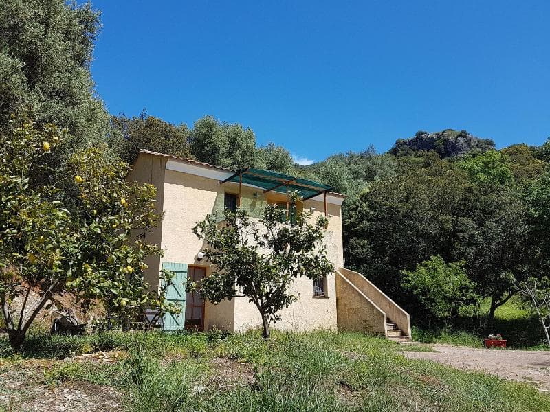 A Casa Di L'alivu photo 1