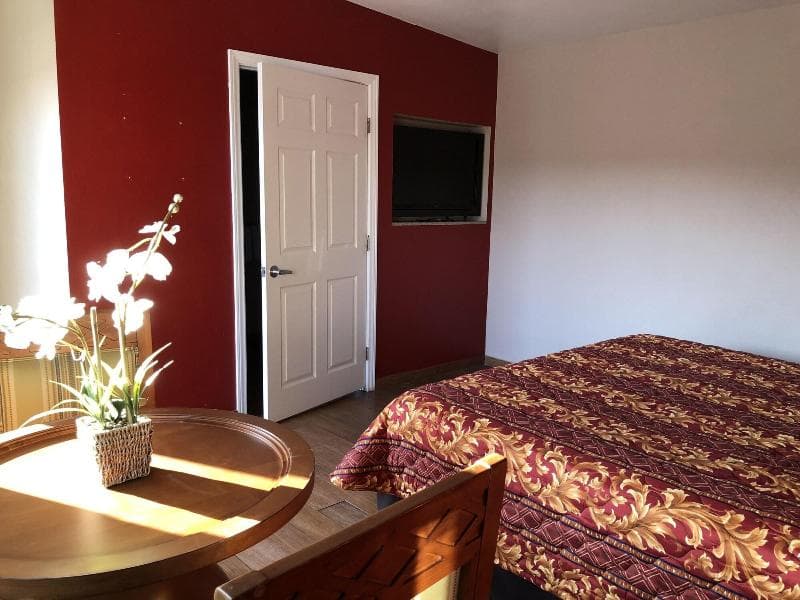 The Fly Inn 3