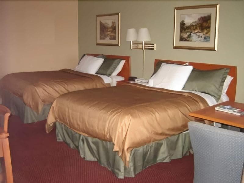 Tulip Inn 2