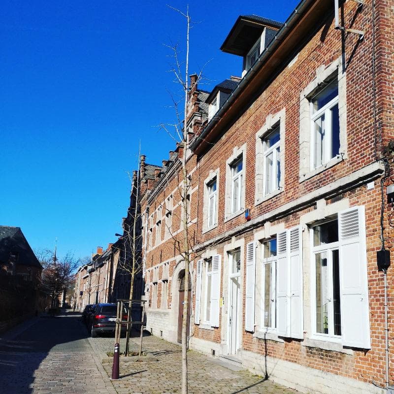 Het Leuvens Hof 4