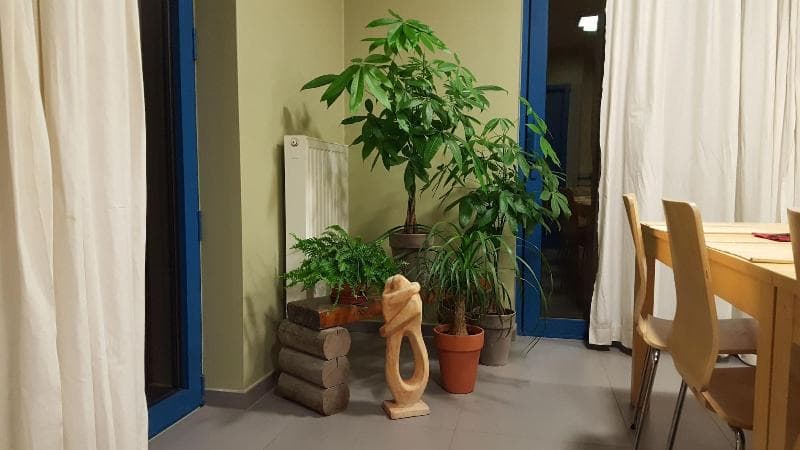 Hotel Amethist 4